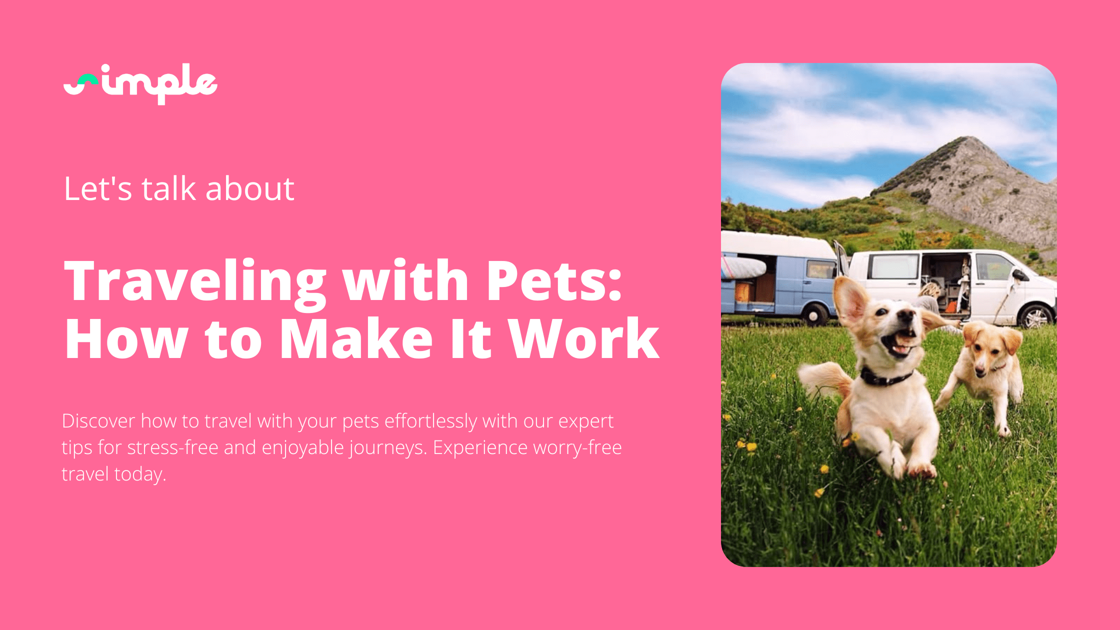 Traveling with Pets: How to Make It Work